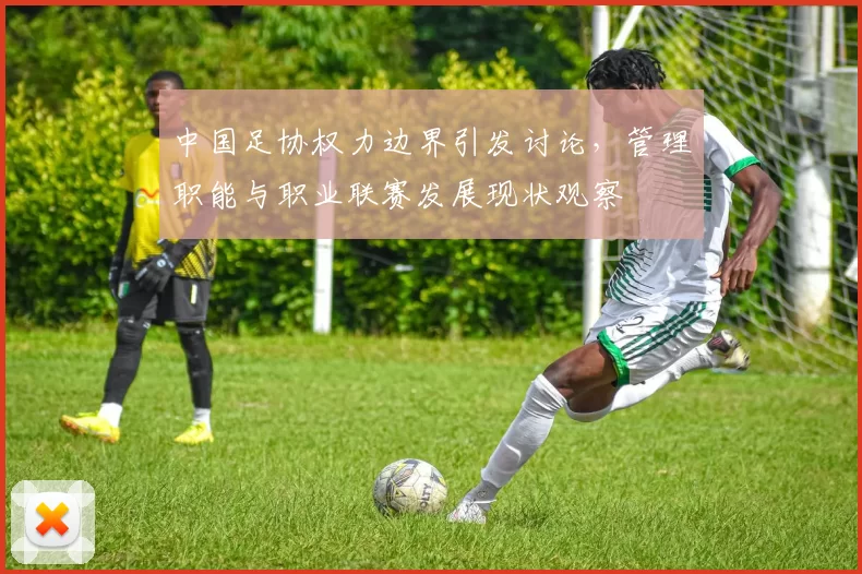 中国足协权力边界引发讨论,管理职能与职业联赛发展现状观察