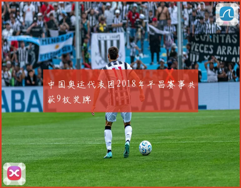 中国奥运代表团2018年平昌赛事共获9枚奖牌
